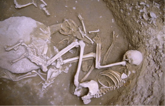 Enterramiento femenino de Minferri junto a una cabra y dos zorros. La mujer abraza al zorro hembra / Grup d'Investigació Prehistòrica, Universitat de Lleida