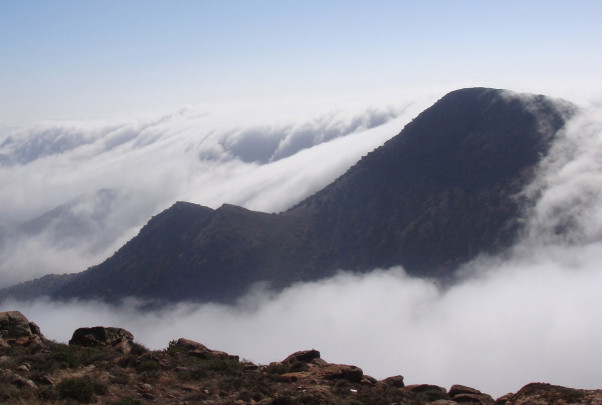 Niebla en la montaña