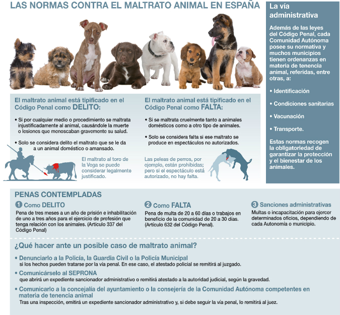 Normas contra el maltrato animal en España 