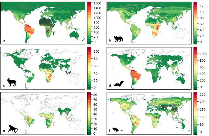 Mapas de las zoonosis que podrán aparecer en función del mamífero. / Kevil Olival et al.