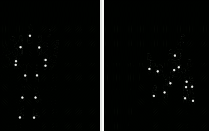 La neurociencia explora el camino de los gestos a las palabras 16 La neurociencia explora el camino de los gestos a las palabras 2