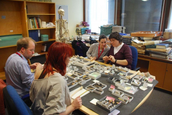 Los investigadores Simon Parfitt del University College de Londres (primera línea a la izquierda), Silvia Bello del Museo de Historia Natural de Londres (segunda línea, en la izquierda de la imagen) al lado de Isabel Cáceres (IPHES) y Palmira Saladié (de espaldas). / IPHES