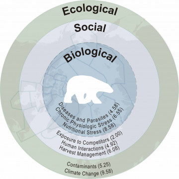 Patyk et al_Figure