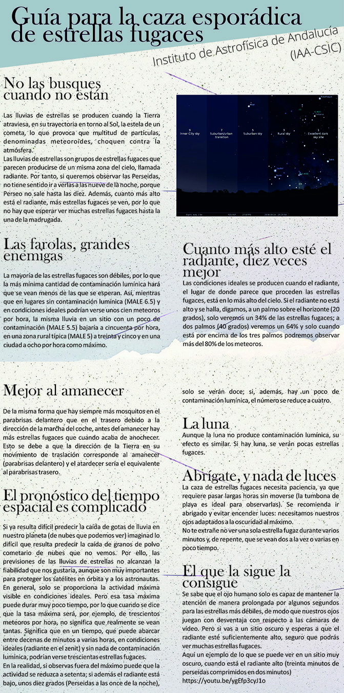 perseidas