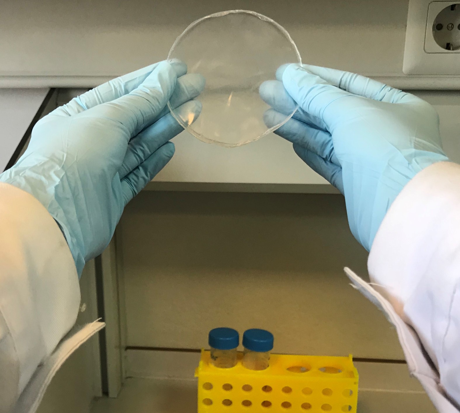 Gran parte del trabajo de Auxiliadora Prieto se centra se centra en la producción biopolímeros generados por microorganismos: los polihidroxialcanoatos (PHA). / CIB-CSIC