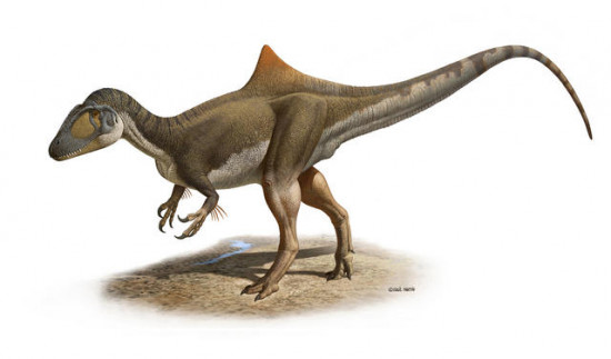 Reconstrución del aspecto en vida del dinosaurio carnívoro Concavenator corcovatus (“el cazador jorobado de Cuenca
