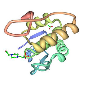 Estructura 3D de una proteína humana
