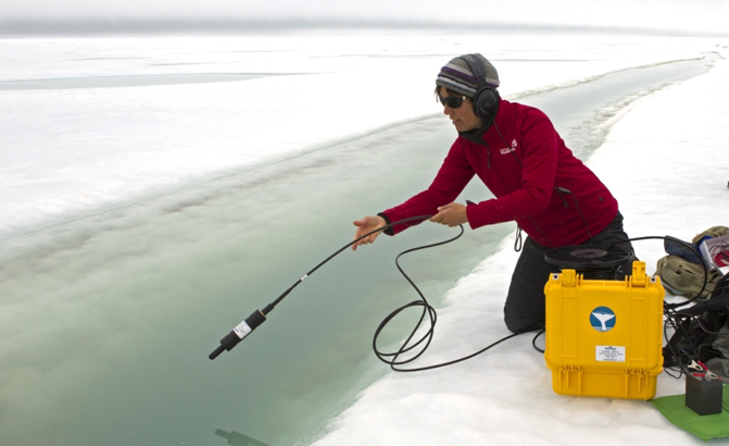 Putting hydrophone in ice crack Northwest Passage Pic by GF FEATURED_ed