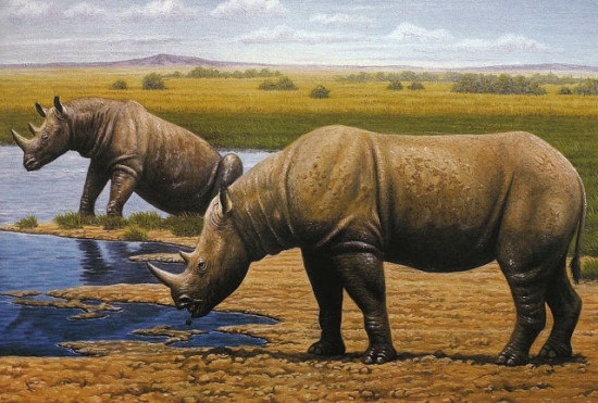 Reconstrucción artística del rinoceronte en su ambiente / Mauricio Anton