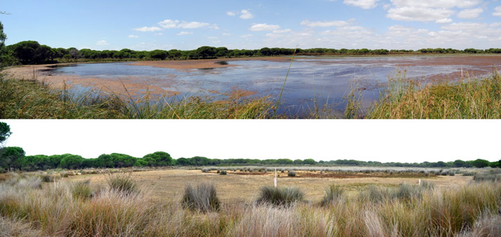 Las fotos de arriba muestran la charca de Zahillo, situada a unos 2 kilómetros de la zona turística, en junio de 2011 (arriba) y octubre de 2022 (abajo). / Carmen Díaz Paniagua