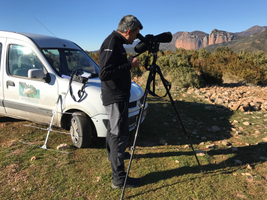 Técnico de la Fundación Fundación para la Conservación del Quebrantahuesos durante el trabajo de campo / FCQ