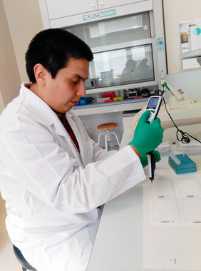 Un-gen-ayuda-al-sistema-inmune-a-defenderse-del-mal-de-Chagas_image_380