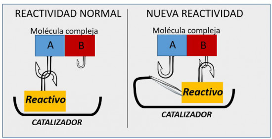 Un-sistema-catalitico-permite-obtener-nuevas-moleculas-de-interes-industrial_image_380