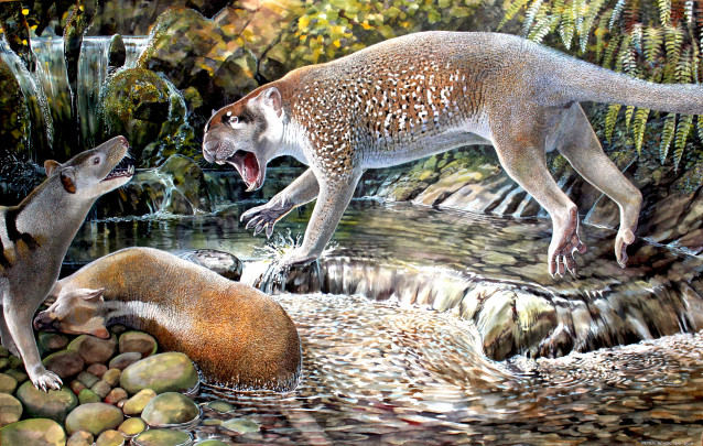 Wakaleo schouteni reconstruction