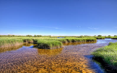 El agua del Tajo alcanza las Tablas de Daimiel