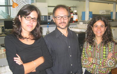 Nuevos materiales para la medicina regenerativa dental. Corte de voz Ana Vallés, investigadora CBIT UPV