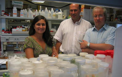 “Puertas moleculares” para aumentar la efectividad de los fármacos. Entrevista a Andrea Bernardos, investigadora de la UPV