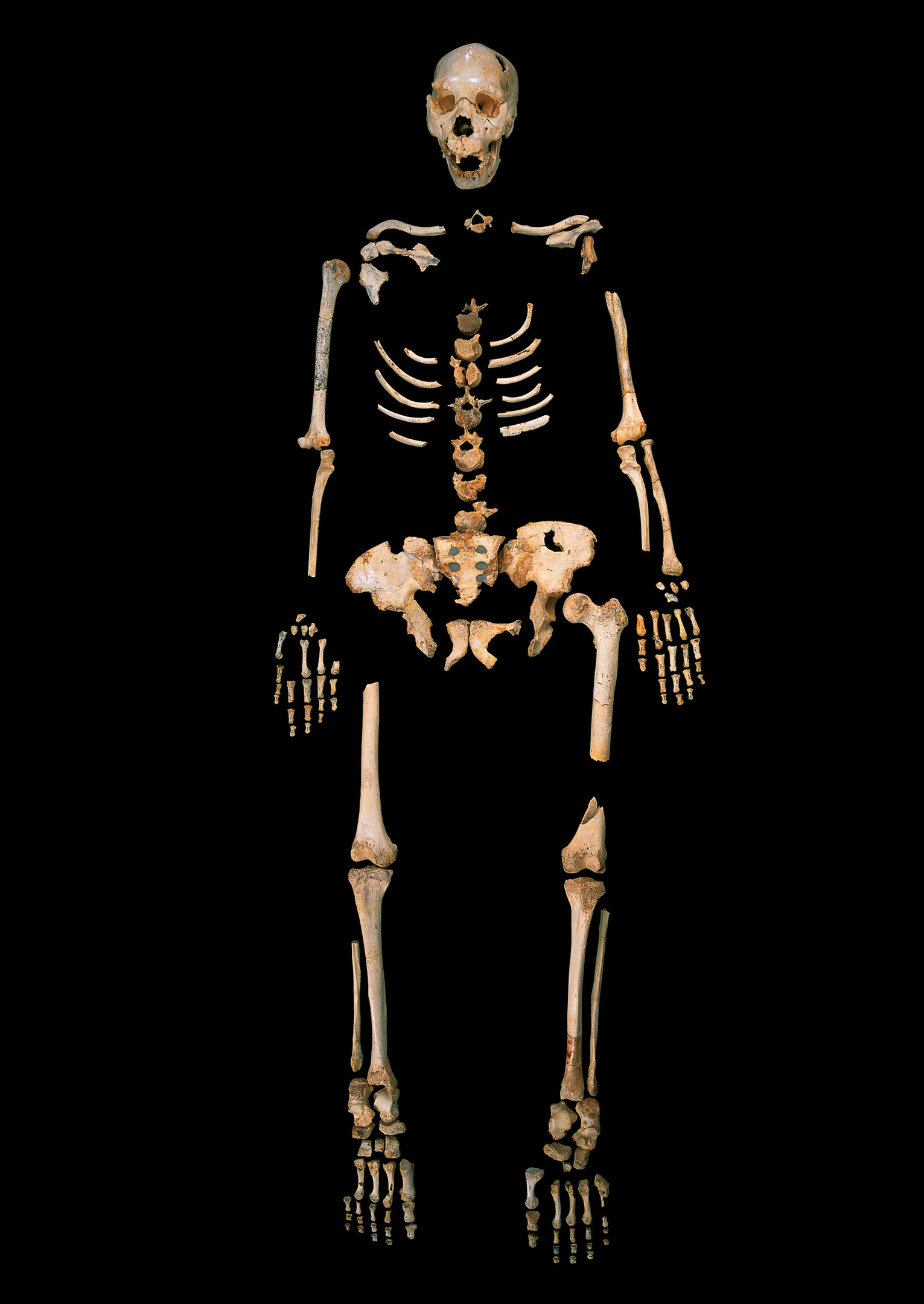 Esqueleto Homo heidelbergensis