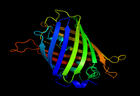 Las proteínas verdes fluorescentes ayudan a medir el calor intracelular. Imagen: Richard Wheeler (Wikipedia)  