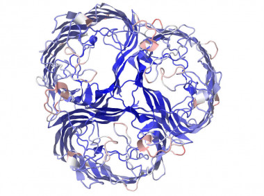 <p>Representación de la proteína lamB de la <em>E. Coli</em>. Imagen: Justin Meyer.</p>