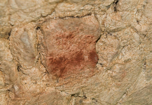 Motivo pictórico de la cueva de El Buxu. Imagen: Antonio Hernanz.