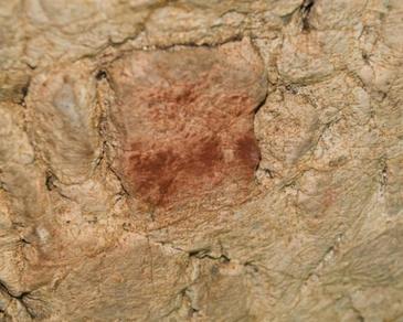 Motivo pictórico de la cueva de El Buxu. Imagen: Antonio Hernanz.