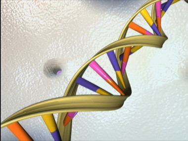<p>Representación gráfica de la doble hélice del ADN. Imagen: National Human Genome Res</p>