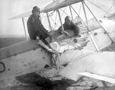 <p>Díaz de Lecea (derecha), miembro del Hyperclub, con una avutarda muerta en el aeródromo de Getafe (1929). / Efe</p>
