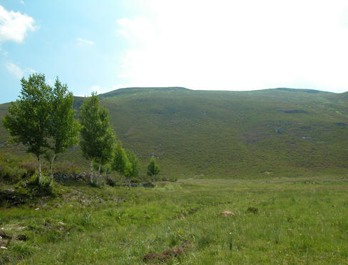 Vega de Viejos