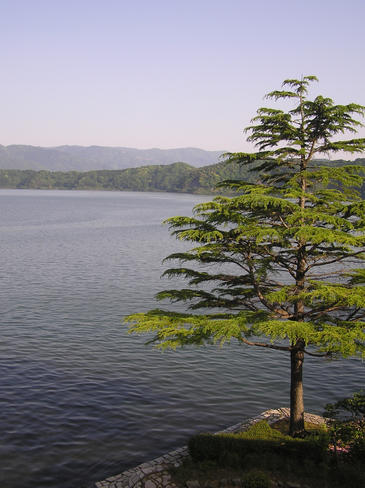 Lago Suigetsu en Japón. Imagen: Christopher Ramsey.