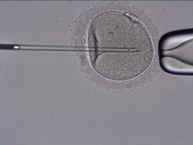 <p>En la fecundación in vitro la fertilización de los ovocitos por los espermatozoides se realiza fuera del cuerpo de la madre. Imagen: <a href="http://www.flickr.com/photos/tahefertilidad/5453265785/sizes/l/in/photostream/" target="_blank">Tahe Fertilidad</a></p>