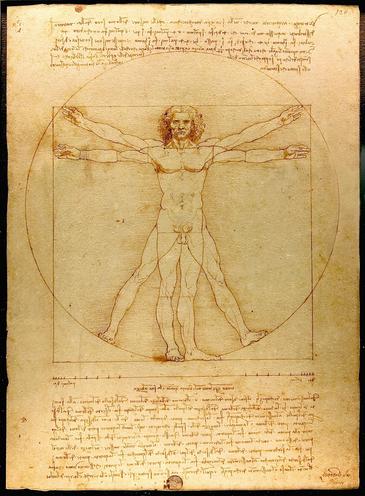 El hombre de Vitruvio. Obra de Leonardo da Vinci que representa un estudio de las proporciones de la figura masculina. Imagen: Wikipedia