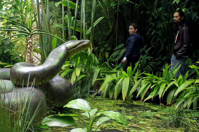 JARDIN BOTANICO RIOJA jardin botanico rioja: