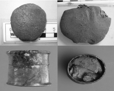 <p>Las pastillas contienen grasas animales y vegetales, resina de pino y compuestos de zinc.Imagen <em>PNAS</em>.</p>