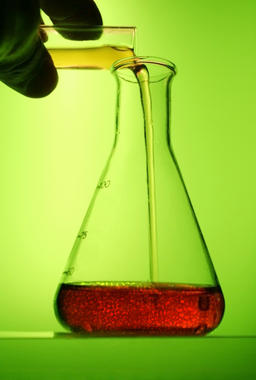 <p>Un equipo de estadounidenses diseñó un sencillo experimento donde volverse multicelular fuera una ventaja adaptativa. / H. Berends (derivada)</p>