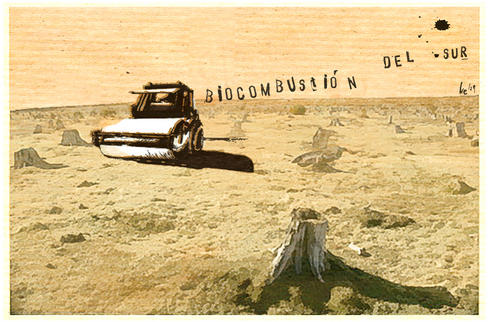 La discusión sobre los agrocarburantes