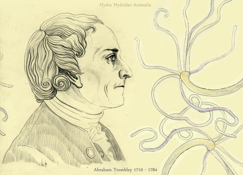 El 3 de setiembre de 1710 nace Abraham Trembley, naturalista suizo