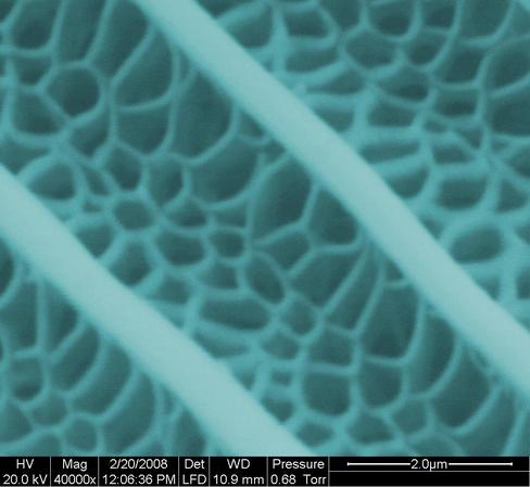 Crean alas de mariposa nanométricas