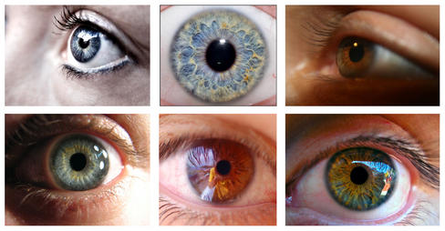 ¿De qué color son mis ojos?