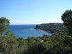 La buena voluntad y el compromiso de los políticos, claves para el futuro de los bosques mediterráneos