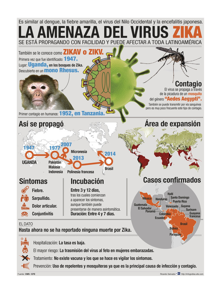 La evolución del Zika, origen y expansión