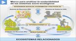 Proponen crear un marco común sobre socioecología 