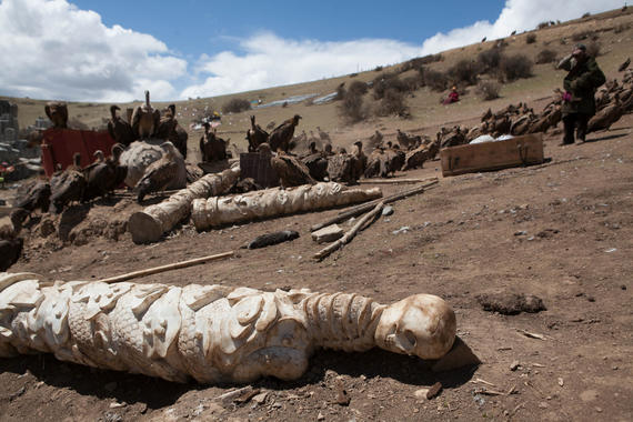 Sky Burial o funeral del cielo- LycopodiumL