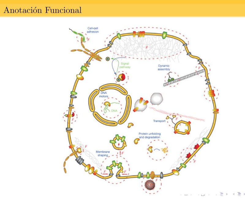Previsualización de Bioinformática para la anotación de proteínas 