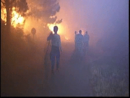 Previsualización de Lo que esconde un incendio