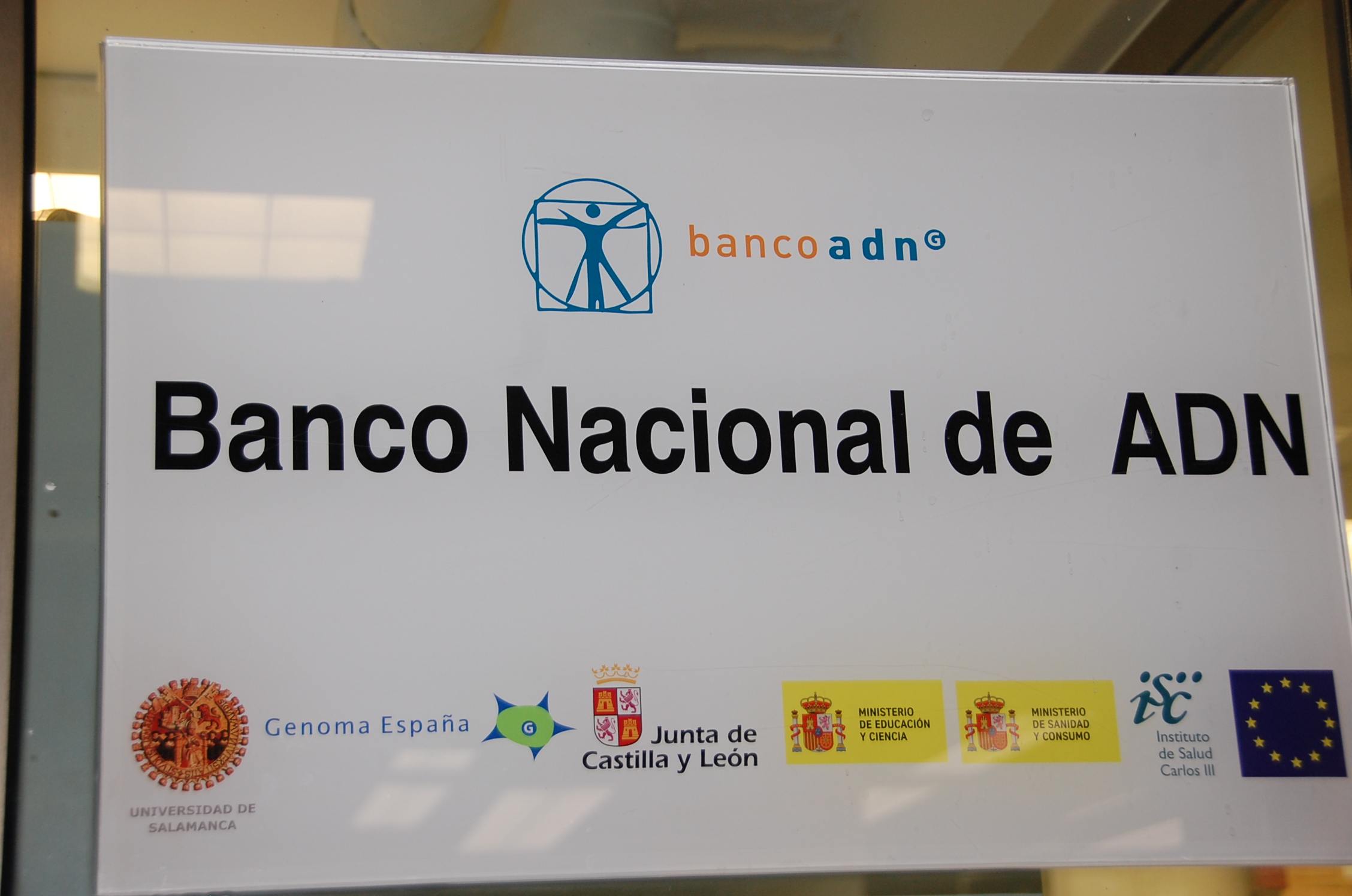 Previsualización de Los bancos más valiosos del mundo