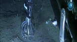 Primeras imágenes submarinas del volcán de El Hierro