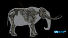 Estudio revela que había cazadores en Norteamérica antes de la cultura Clovis