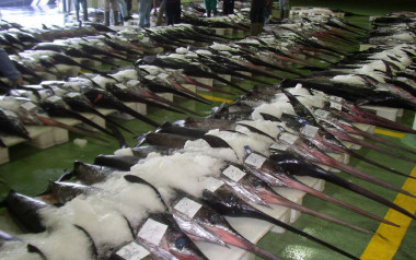 <p>Swordfish auction in the fish market of Vigo (Spain). / José Antonio <a href="https://www.flickr.com/photos/freecat/67076760" target="_blank">Gil Martínez</a></p>