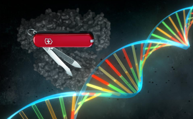 <p>Representation of CRISPR protein Cpf1. The class 2 CRISPR Cas complexes, including Cas9 and Cpf1, have great versatility, since a single protein guided by a guide RNA is able to recognize and cut a specific sequence of the genome. / Pablo Alcón / University of Copenhagen</p>